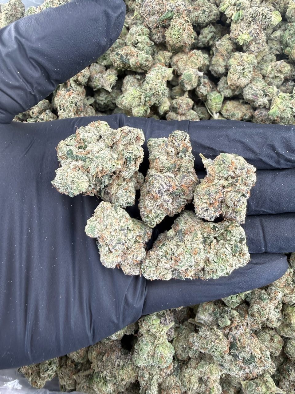 ❄️ White Zlushie