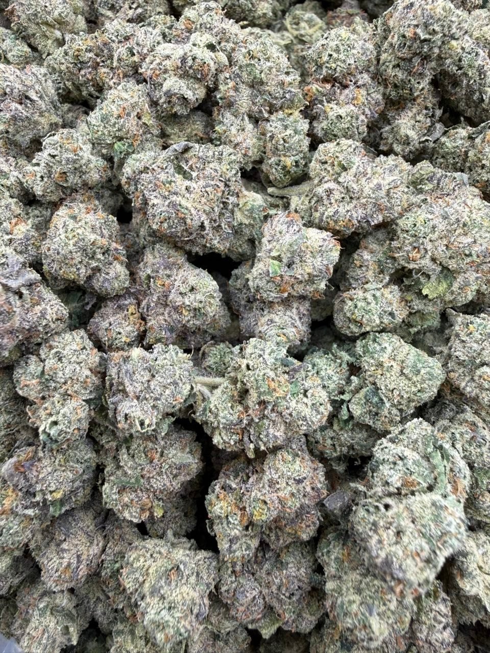 Nerd Runtz (Licensed Indoor)