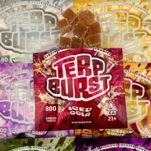 🍬Terp Burst – 800MG THC Infused Gummies